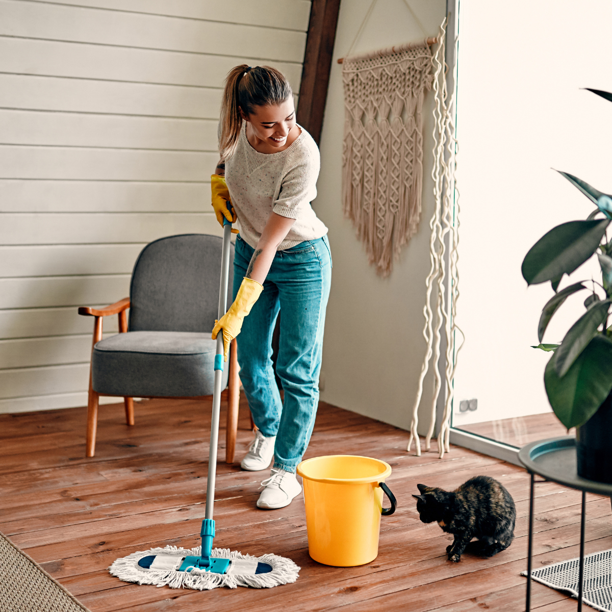 tidy up